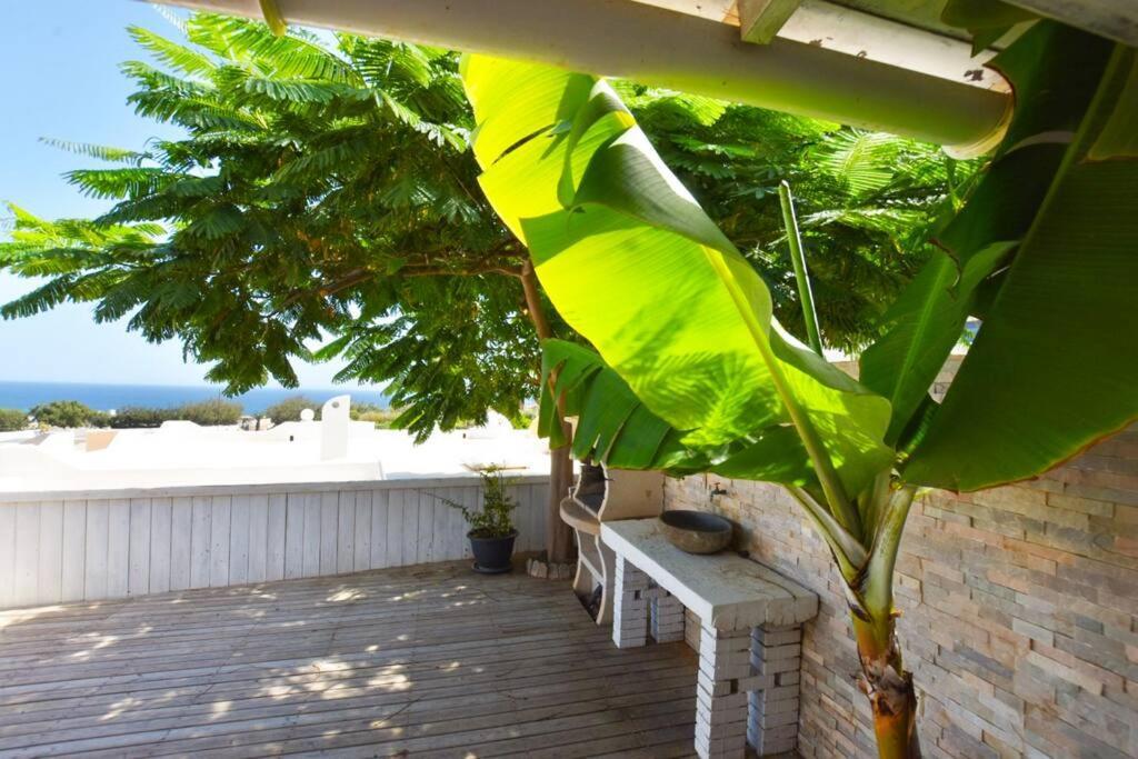Book Jet - Costa Calma Blue Ocean Dream Terrace Lejlighed Eksteriør billede
